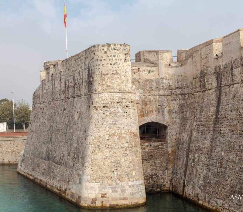 11480378155_13c5776a20_o