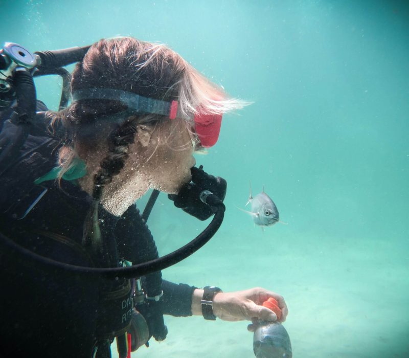 levi-arnold-qdaHys3T-FA-unsplash