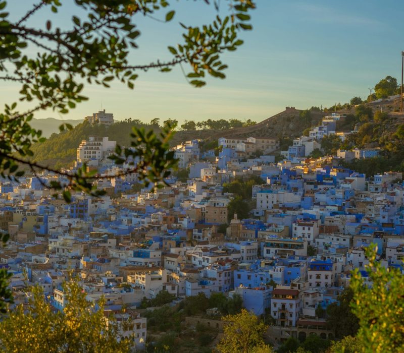 loubna-benamer-FAK_b02STCY-unsplash